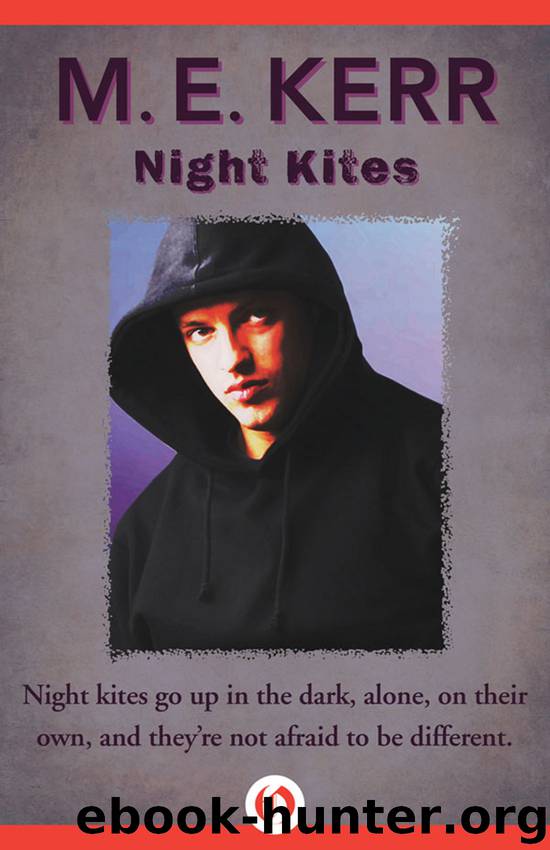 Night Kites by M. E. Kerr