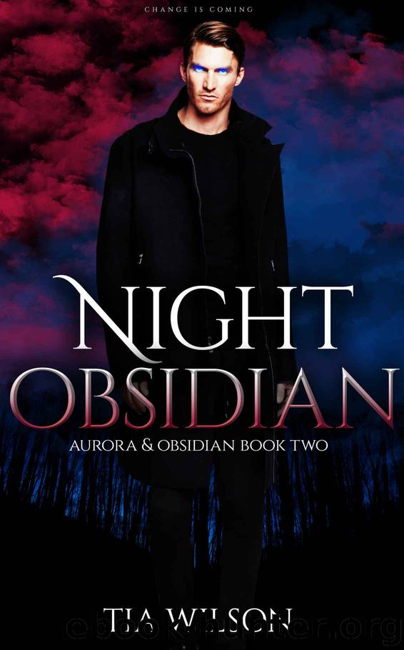 Night Obsidian (Aurora & Obsidian Book 2) by Tia Wilson