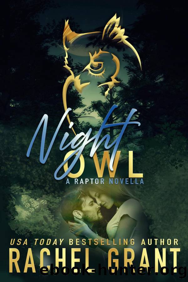 Night Owl by Rachel Grant