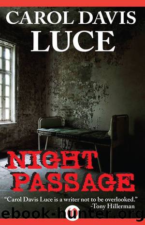 Night Passage by Carol Davis Luce