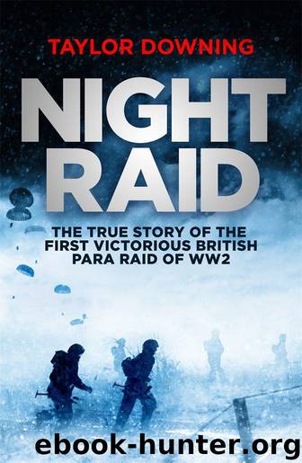 Night Raid by Taylor Downing