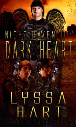 Night Raven III by Lyssa Hart