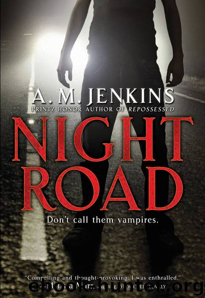 Night Road by A. M. Jenkins