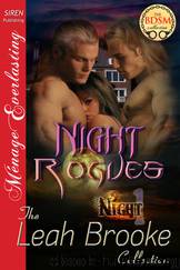 Night Rogues [Night 1] (Siren Publishing Ménage Everlasting) by Leah Brooke