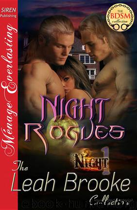 Night Rogues by Brooke Leah