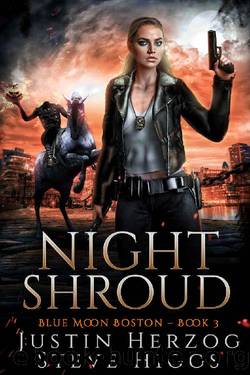 Night Shroud: Blue Moon Investigations: Boston Book 3 by Justin Herzog & Steve Higgs