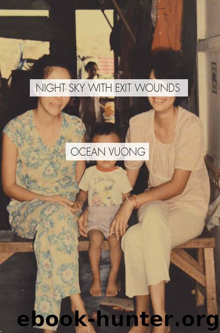 Night Sky with Exit Wounds by Ocean Vuong - free ebooks download