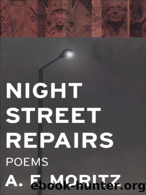 Night Street Repairs by A.F. Moritz