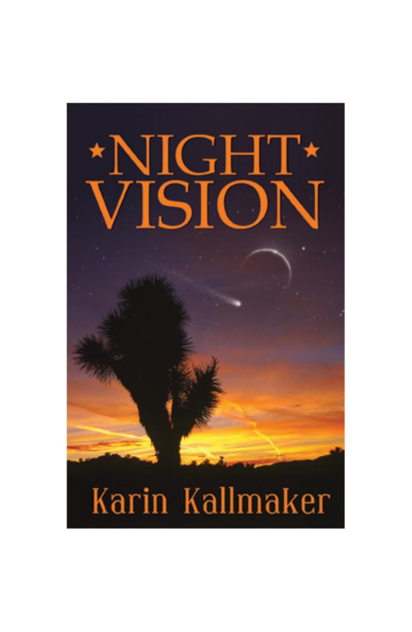 Night Vision by Karin Kallmaker