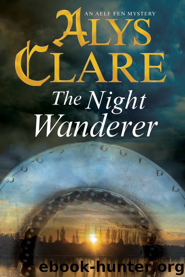 Night Wanderer, The by Alys Clare