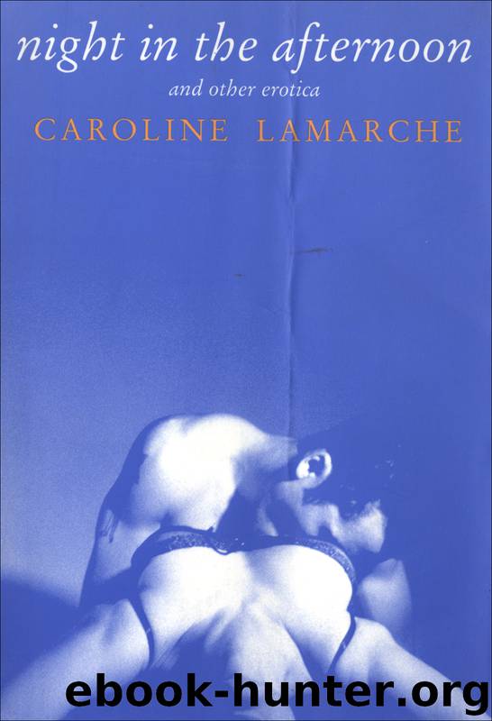 Night in the Afternoon and Other Erotica by Caroline Lamarche
