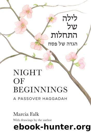 Night of Beginnings by Marcia Falk