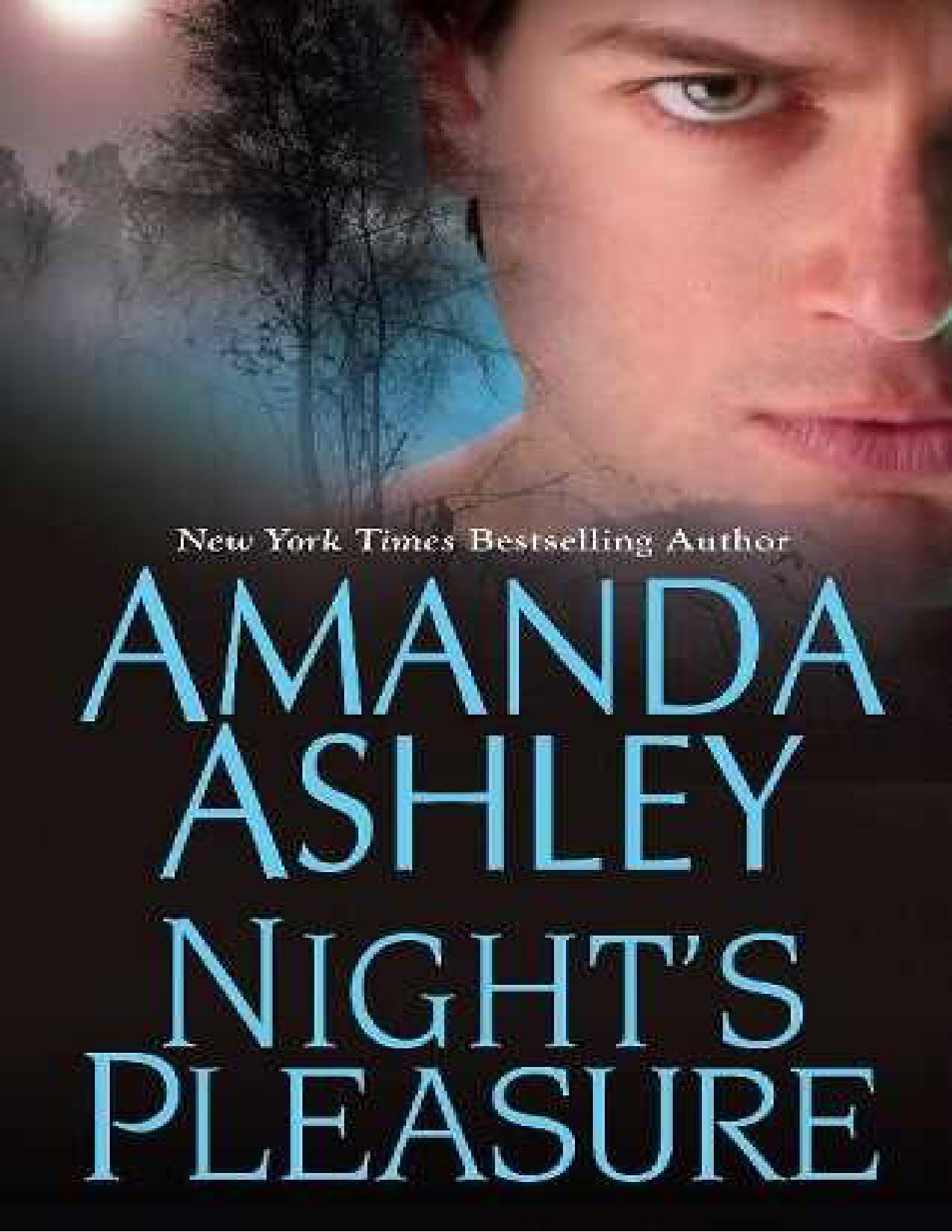 Night's Pleasure by Ashley Amanda