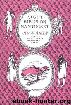 Nightbirds on Nantucket by Aiken Joan