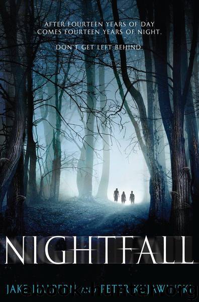 Nightfall by Halpern Jake