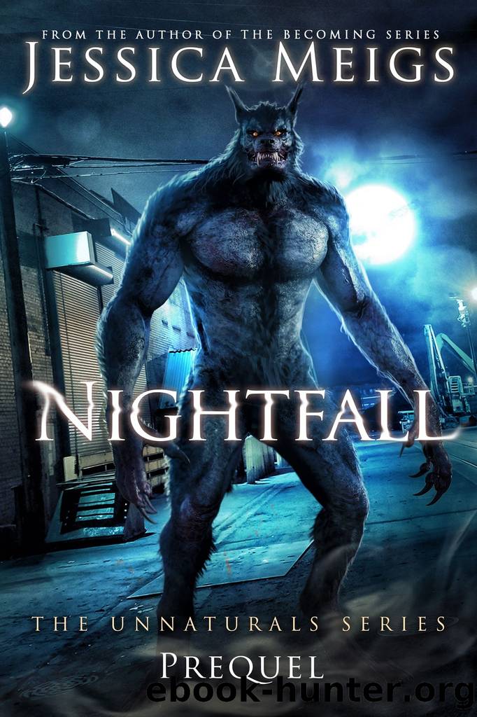 Nightfall by Jessica Meigs