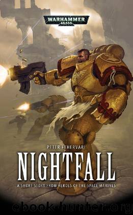 Nightfall by Peter Fehervari