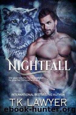 Nightfall by TK Lawyer