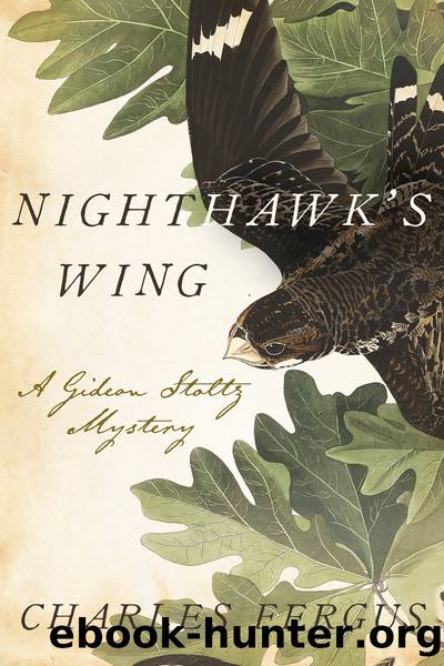 Nighthawk's Wing by Charles Fergus