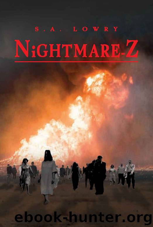 Nightmare-Z by S. A. Lowry