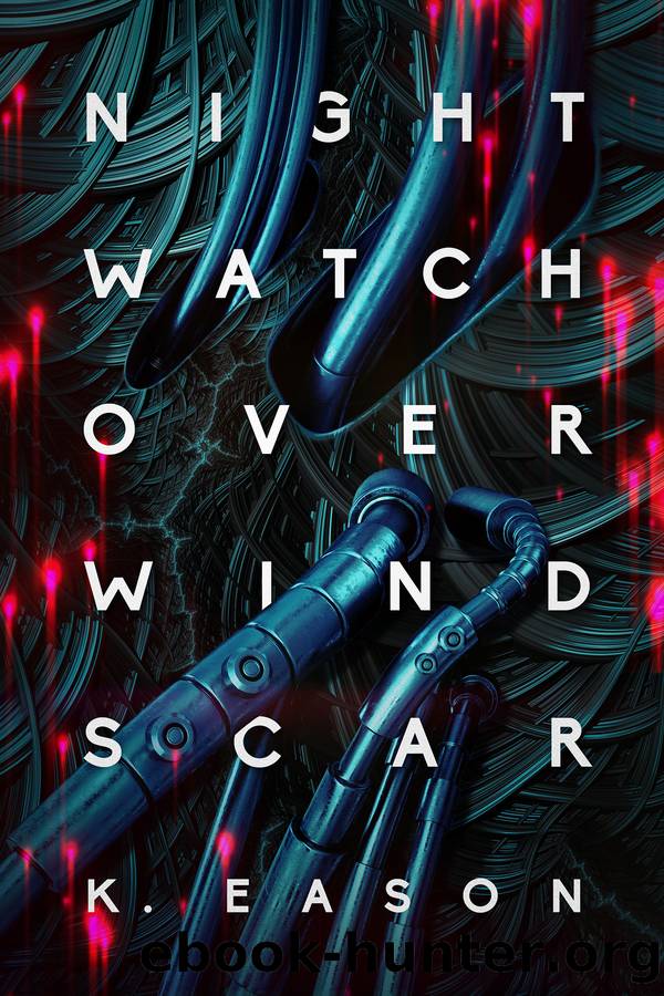 Nightwatch over Windscar by K. Eason
