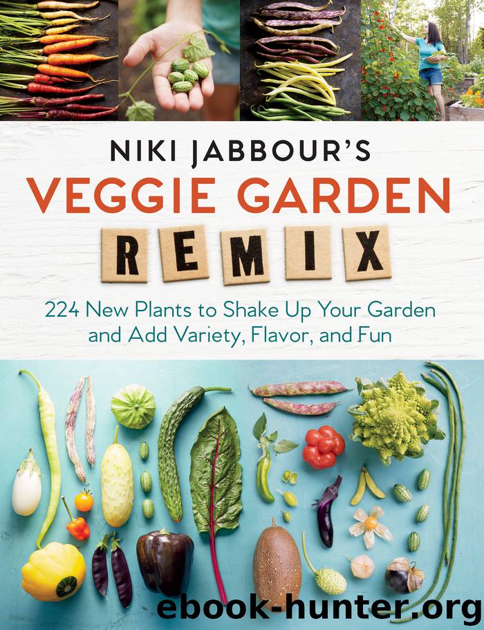 Niki Jabbour's Veggie Garden Remix : 224 New Plants to Shake Up Your Garden and Add Variety, Flavor, and Fun (9781612126715) by Jabbour Niki