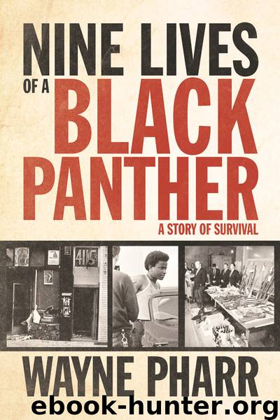 Nine Lives of a Black Panther by Pharr Wayne