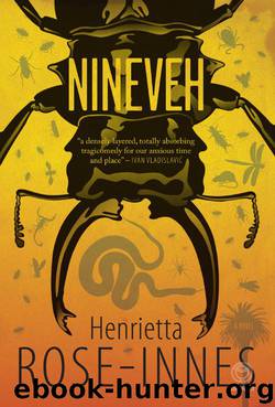 Nineveh by Rose-Innes Henrietta
