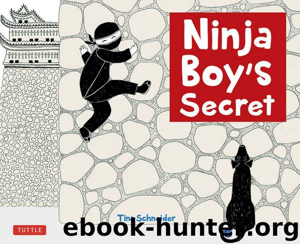 Ninja Boy's Secret by Tina Schneider