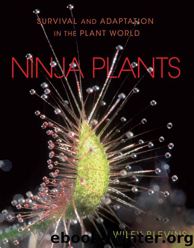 Ninja Plants: Survival and Adaptation in the Plant World (Nonfiction — Young Adult) by Blevins Wiley
