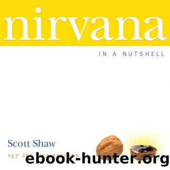 Nirvana in a Nutshell by Scott Shaw