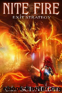 Nite Fire: Exit Strategy by C. L. Schneider