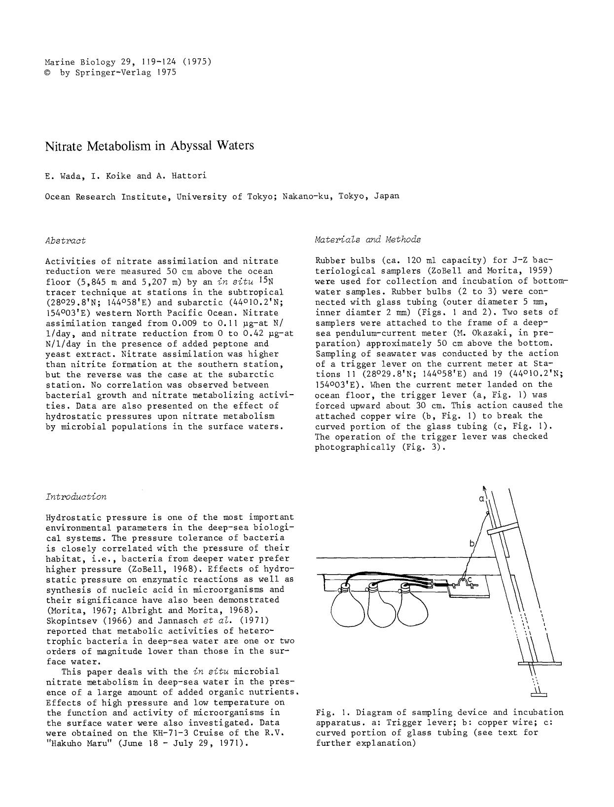 Nitrate metabolism in abyssal waters by Unknown
