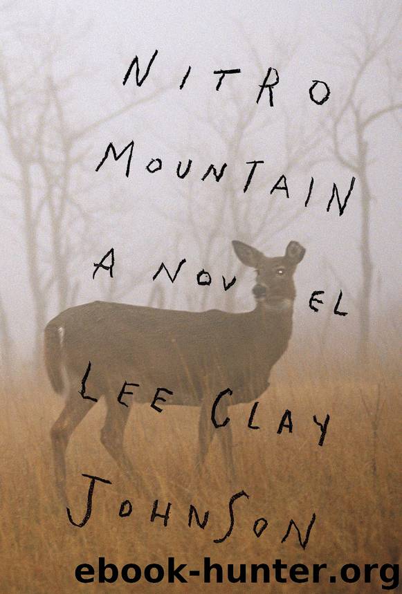 Nitro Mountain by Lee Clay Johnson