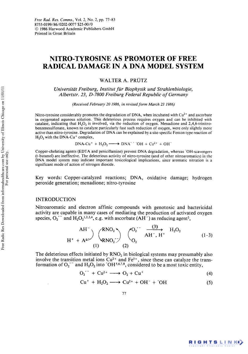 Nitro-Tyrosine as Promoter of Free Radical Damage in a DNA Model System by Walter A. Prütz