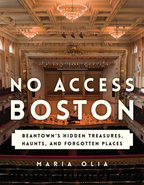 No Access Boston by Maria Olia