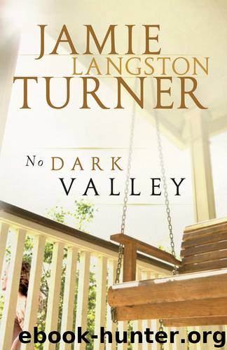 No Dark Valley by Jamie Langston Turner