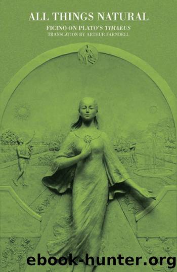 No End to Snowdrops by Phillipa Bernard