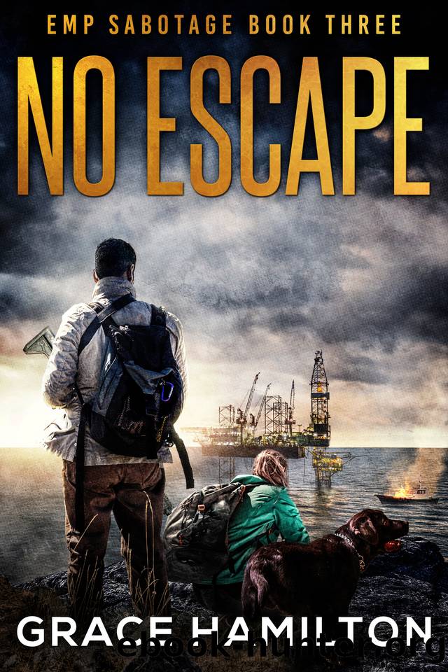 No Escape: A Post-Apocalyptic EMP Thriller Filled With Captivating Characters & Prepper Info (EMP Sabotage Book 3) by Hamilton Grace