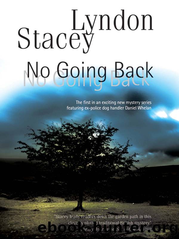 No Going Back by Lyndon Stacey
