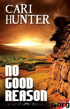 No Good Reason by Cari Hunter