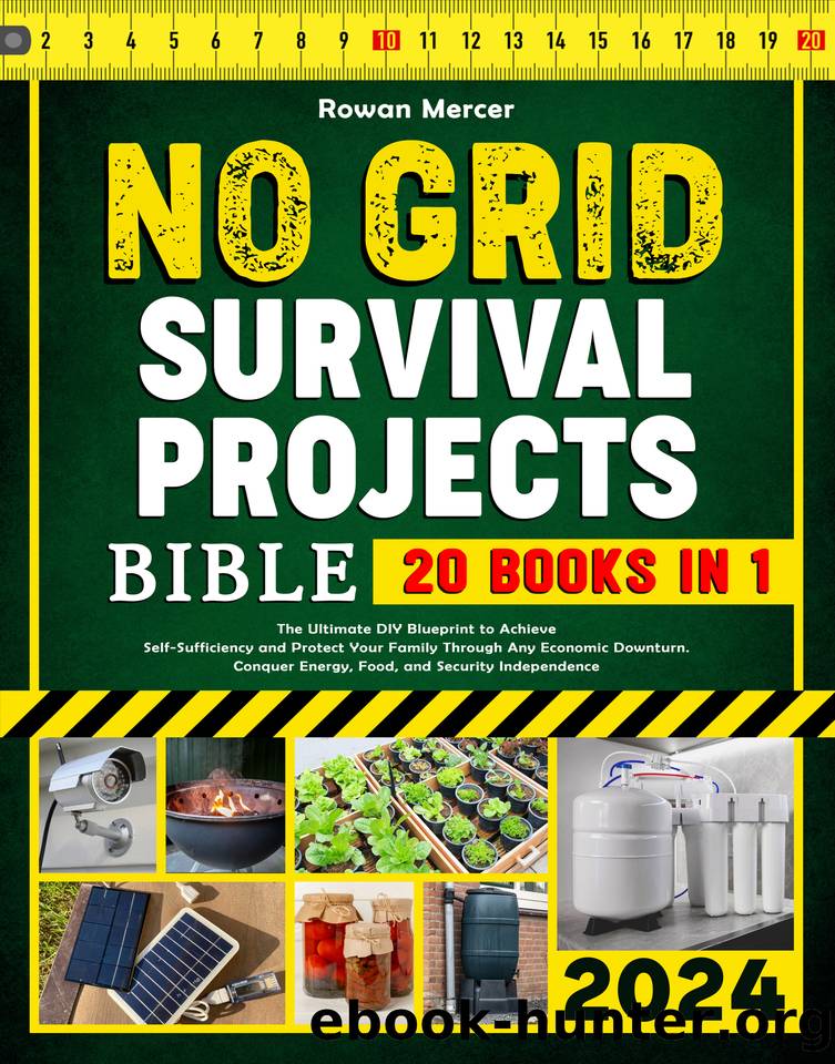 No Grid Survival Projects Bible: 20 in 1. The Ultimate DIY Blueprint to Achieve Self-Sufficiency and Protect Your Family Through Any Economic Downturn. Conquer Energy, Food, and Security Independence by Mercer Rowan