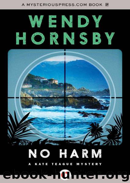 No Harm (The Kate Teague Mysteries Book 1) by Hornsby Wendy