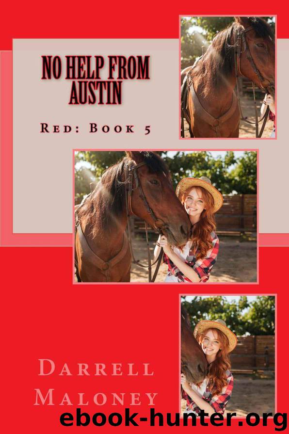 No Help From Austin by Darrell Maloney