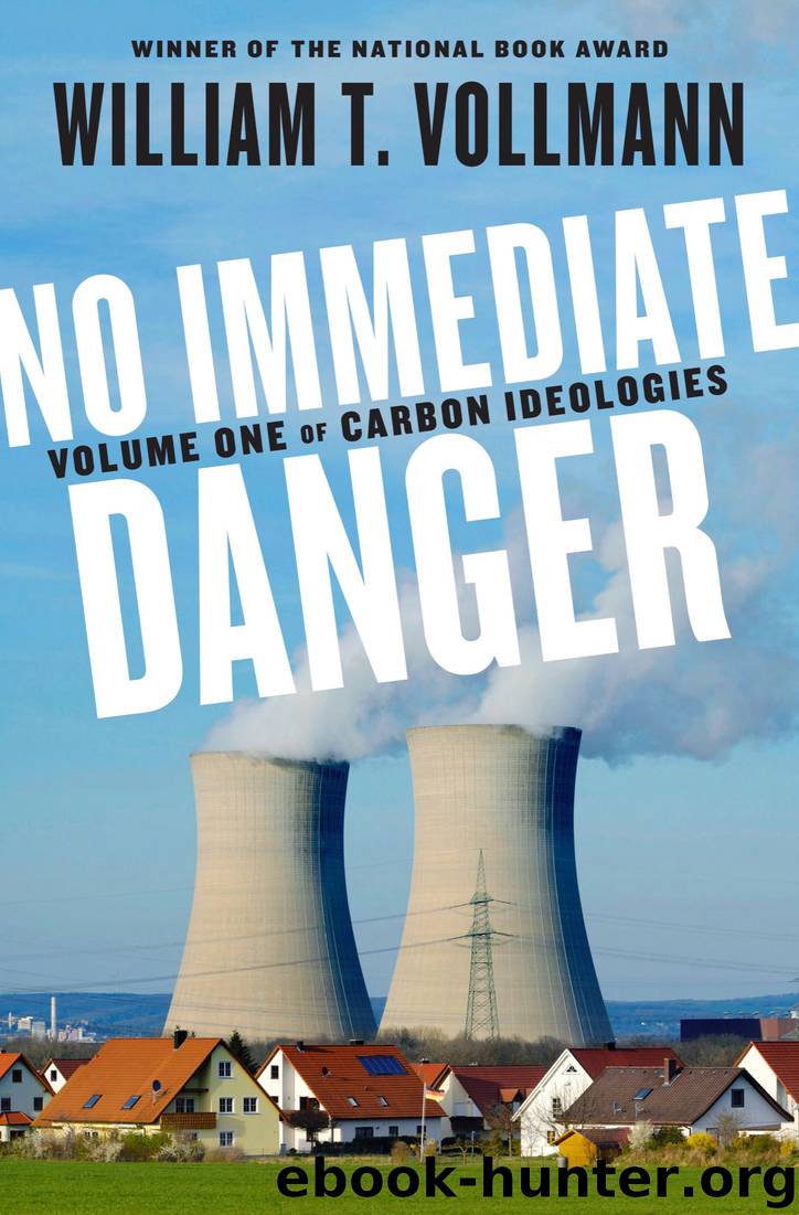 No Immediate Danger by William T. Vollmann