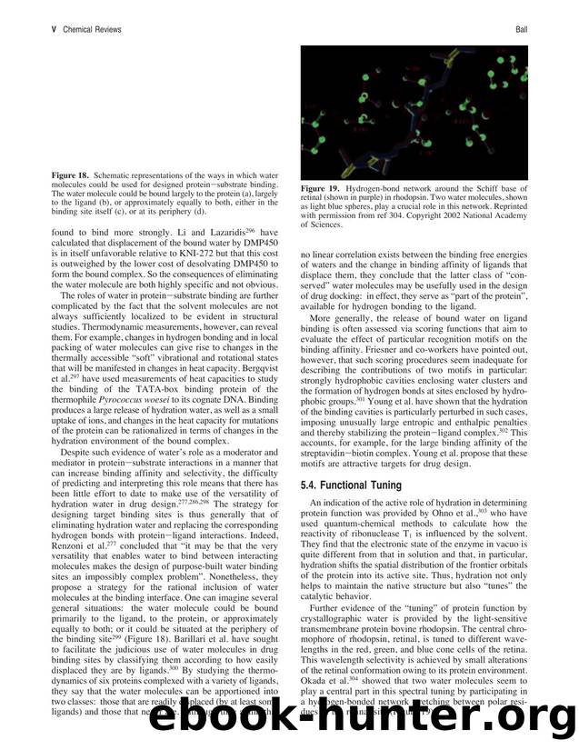 No Job Name by Water as an Active Constituent in Cell Biology (2006)