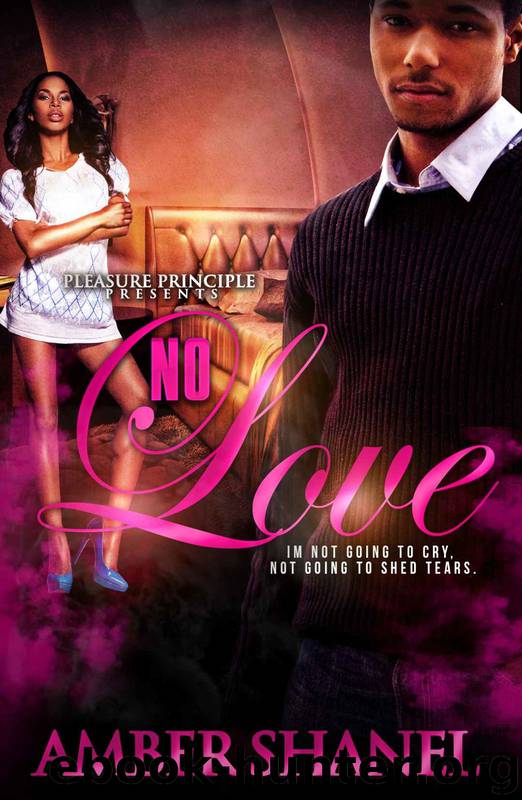No Love by Amber Shanel & Samantha Lukasz
