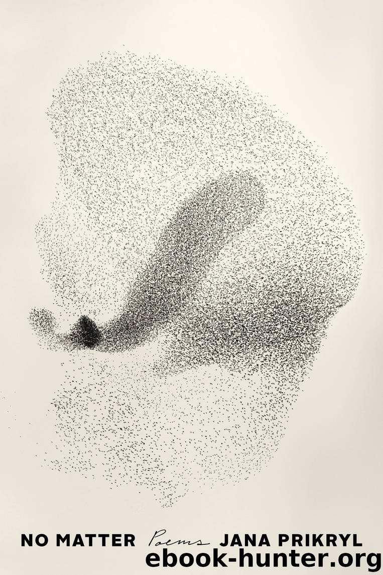 No Matter by Jana Prikryl