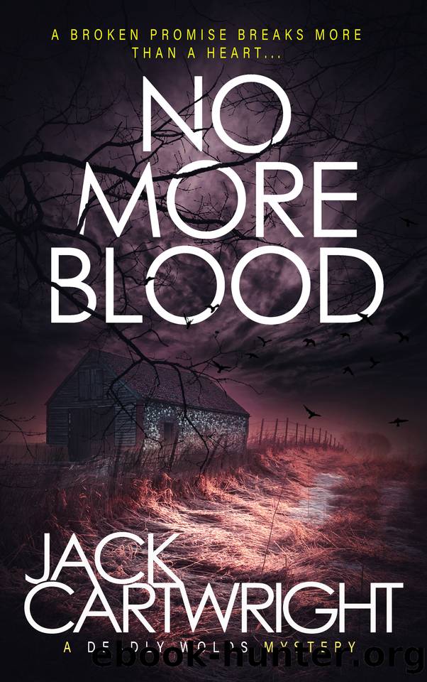No More Blood: A British Murder Mystery (The Wild Fens Murder Mystery Series Book 13) by Jack Cartwright