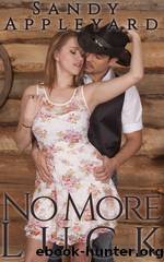 No More Luck by Sandy Appleyard